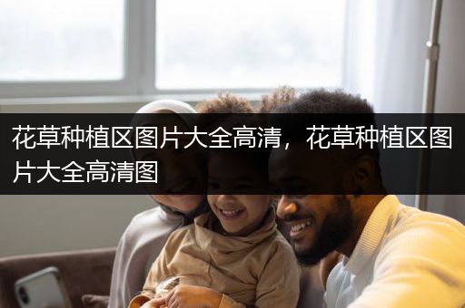 花草种植区图片大全高清，花草种植区图片大全高清图