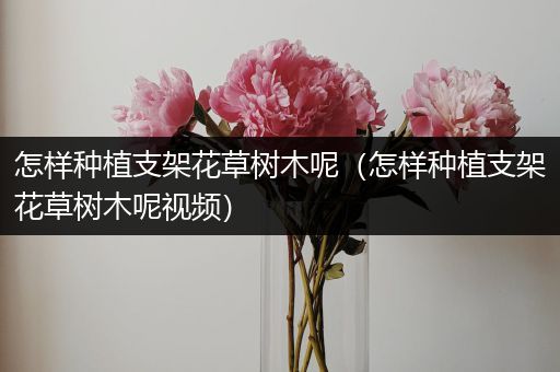 怎样种植支架花草树木呢（怎样种植支架花草树木呢视频）