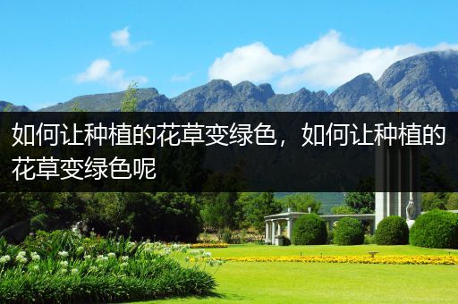 如何让种植的花草变绿色，如何让种植的花草变绿色呢