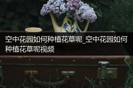 空中花园如何种植花草呢_空中花园如何种植花草呢视频
