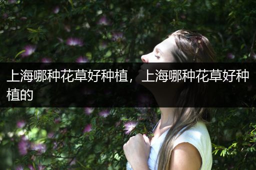 上海哪种花草好种植，上海哪种花草好种植的