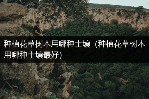 种植花草树木用哪种土壤（种植花草树木用哪种土壤最好）