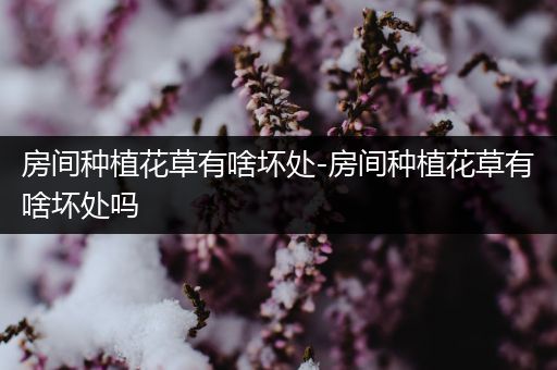 房间种植花草有啥坏处-房间种植花草有啥坏处吗