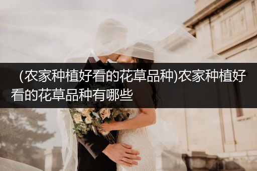 （农家种植好看的花草品种)农家种植好看的花草品种有哪些