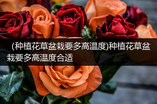 （种植花草盆栽要多高温度)种植花草盆栽要多高温度合适