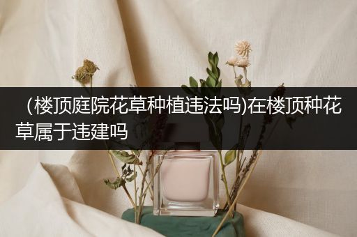 （楼顶庭院花草种植违法吗)在楼顶种花草属于违建吗