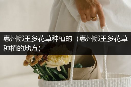 惠州哪里多花草种植的（惠州哪里多花草种植的地方）