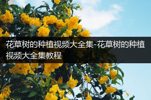 花草树的种植视频大全集-花草树的种植视频大全集教程