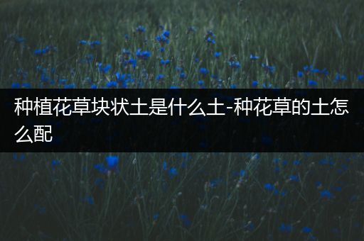 种植花草块状土是什么土-种花草的土怎么配