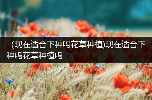 （现在适合下种吗花草种植)现在适合下种吗花草种植吗