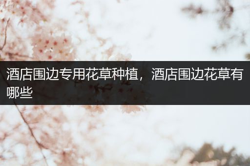 酒店围边专用花草种植，酒店围边花草有哪些