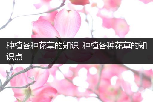 种植各种花草的知识_种植各种花草的知识点