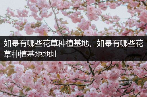 如皋有哪些花草种植基地，如皋有哪些花草种植基地地址