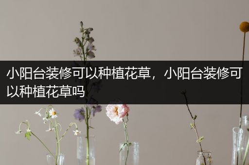 小阳台装修可以种植花草，小阳台装修可以种植花草吗