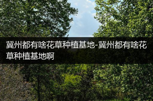 冀州都有啥花草种植基地-冀州都有啥花草种植基地啊