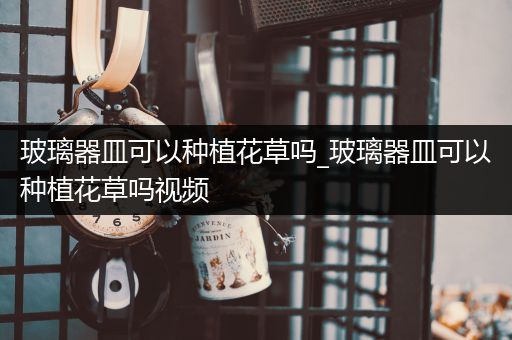 玻璃器皿可以种植花草吗_玻璃器皿可以种植花草吗视频