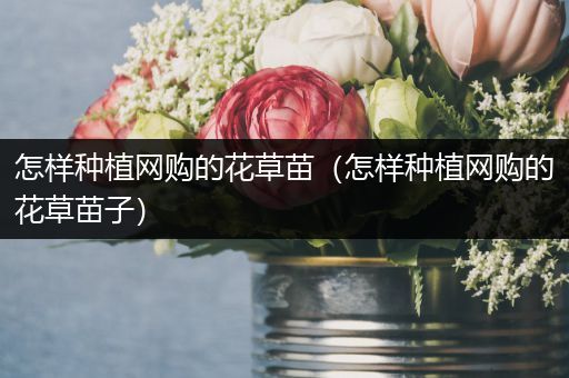 怎样种植网购的花草苗（怎样种植网购的花草苗子）