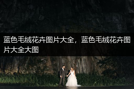 蓝色毛绒花卉图片大全，蓝色毛绒花卉图片大全大图