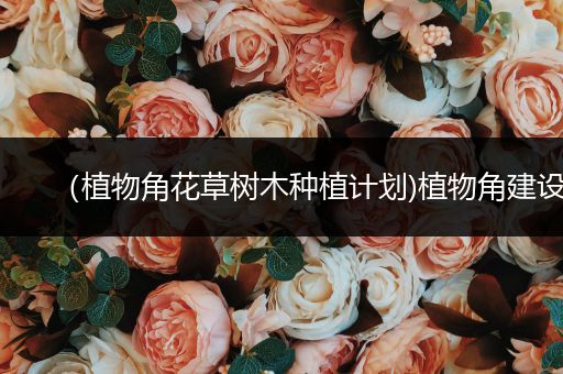 （植物角花草树木种植计划)植物角建设