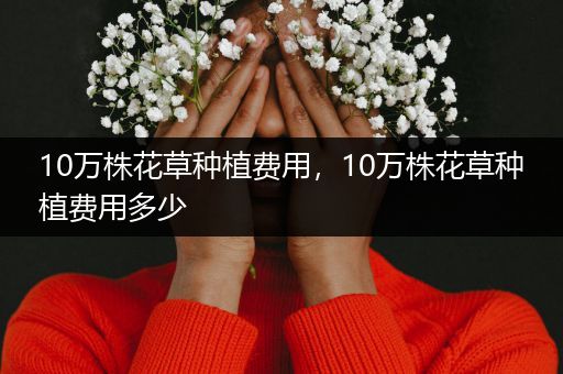 10万株花草种植费用，10万株花草种植费用多少