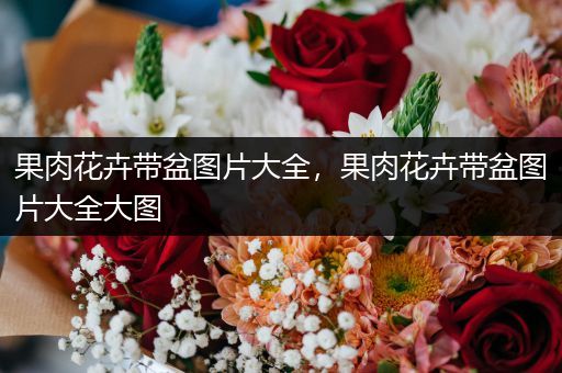 果肉花卉带盆图片大全，果肉花卉带盆图片大全大图
