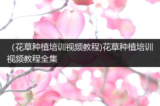 （花草种植培训视频教程)花草种植培训视频教程全集
