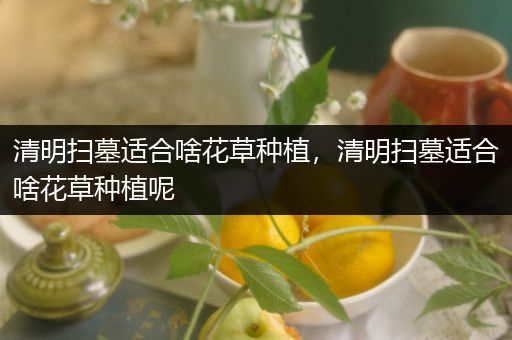 清明扫墓适合啥花草种植，清明扫墓适合啥花草种植呢
