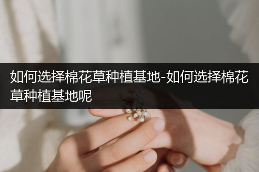 如何选择棉花草种植基地-如何选择棉花草种植基地呢