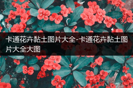 卡通花卉黏土图片大全-卡通花卉黏土图片大全大图