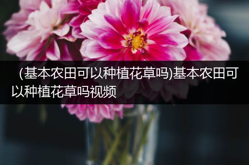 （基本农田可以种植花草吗)基本农田可以种植花草吗视频