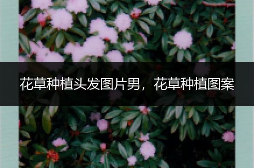 花草种植头发图片男，花草种植图案