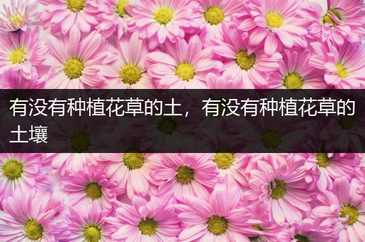 有没有种植花草的土，有没有种植花草的土壤