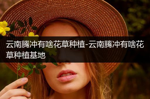 云南腾冲有啥花草种植-云南腾冲有啥花草种植基地