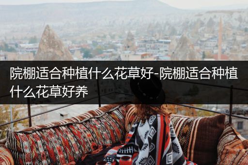 院棚适合种植什么花草好-院棚适合种植什么花草好养