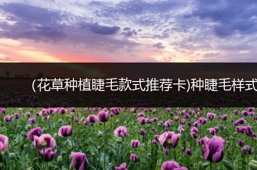 （花草种植睫毛款式推荐卡)种睫毛样式