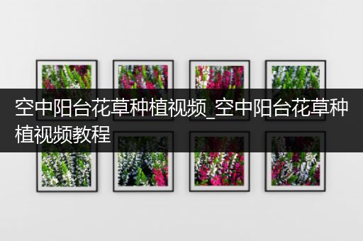 空中阳台花草种植视频_空中阳台花草种植视频教程