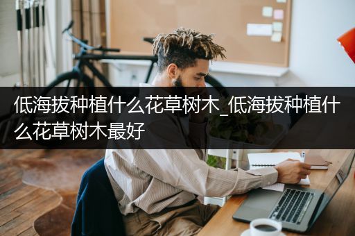 低海拔种植什么花草树木_低海拔种植什么花草树木最好