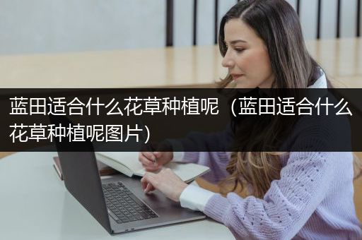 蓝田适合什么花草种植呢（蓝田适合什么花草种植呢图片）