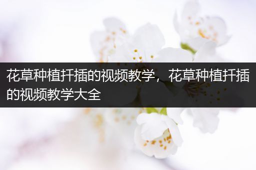 花草种植扦插的视频教学，花草种植扦插的视频教学大全