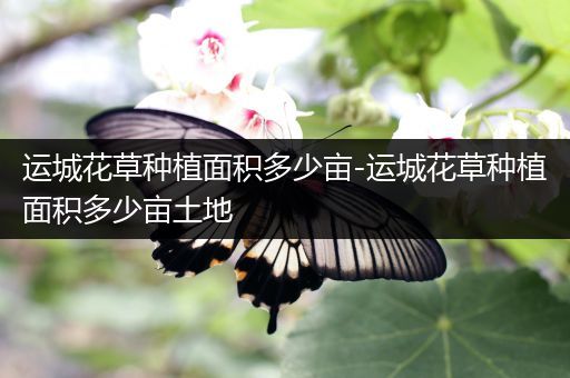 运城花草种植面积多少亩-运城花草种植面积多少亩土地