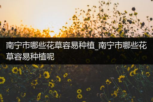 南宁市哪些花草容易种植_南宁市哪些花草容易种植呢