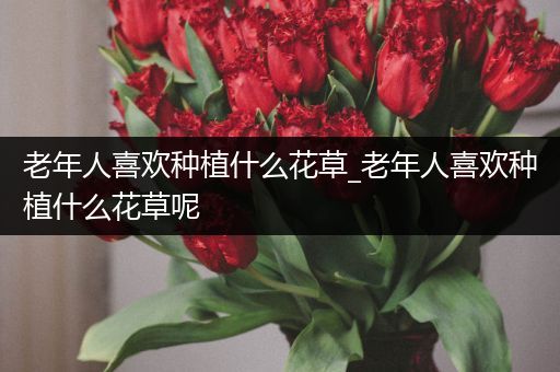 老年人喜欢种植什么花草_老年人喜欢种植什么花草呢