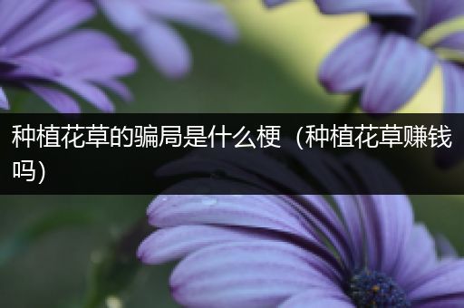 种植花草的骗局是什么梗（种植花草赚钱吗）