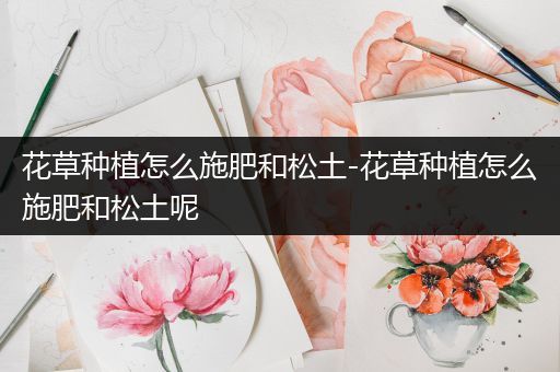 花草种植怎么施肥和松土-花草种植怎么施肥和松土呢