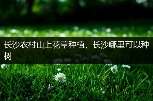 长沙农村山上花草种植，长沙哪里可以种树