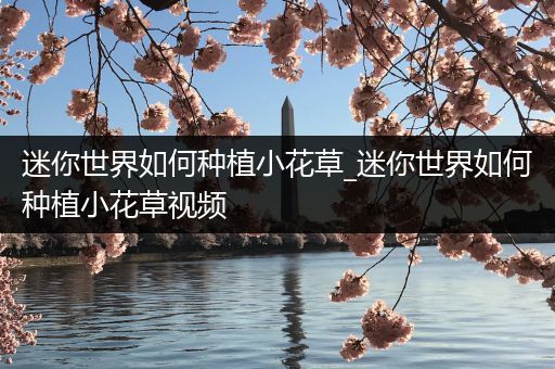 迷你世界如何种植小花草_迷你世界如何种植小花草视频