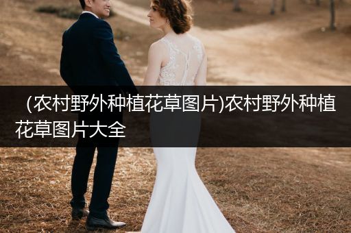（农村野外种植花草图片)农村野外种植花草图片大全