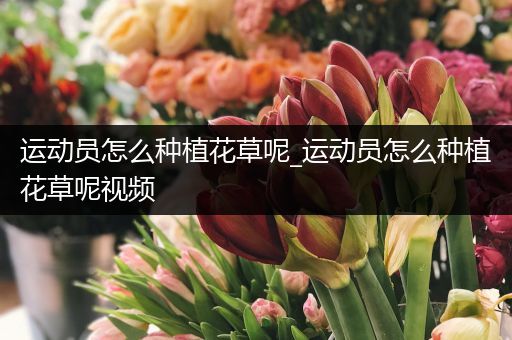 运动员怎么种植花草呢_运动员怎么种植花草呢视频