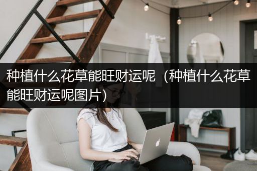 种植什么花草能旺财运呢（种植什么花草能旺财运呢图片）