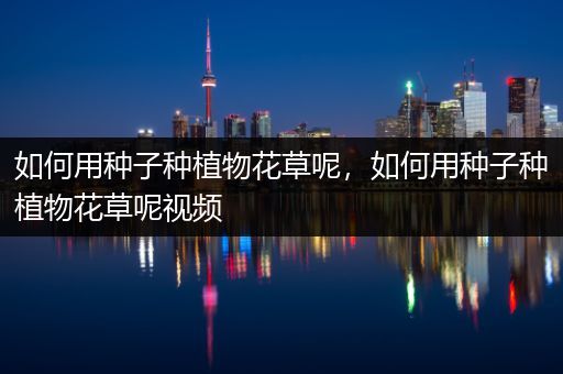 如何用种子种植物花草呢，如何用种子种植物花草呢视频